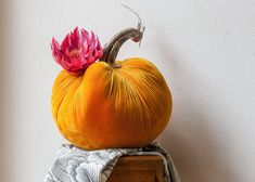 an orange pumpkin with a pink flower on top