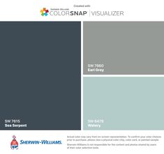 the color scheme for colorsnap visualizer is shown in blue, gray and white