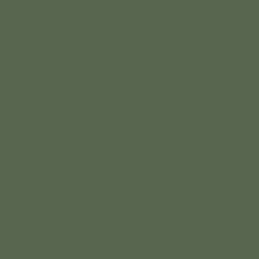 the pantone paint color is green and has a dark gray background with white trim