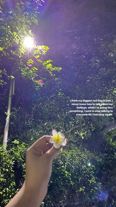 a person holding a flower in their hand with the sun shining through the trees behind them