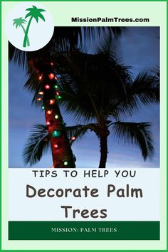 A poster about decorating tips for putting lights on palm trees for the holidays Christmas Palm Tree Decoration, Christmas In The Tropics Decor, Palm Tree Christmas Decorations, Palm Tree Christmas Trees Ideas, Palm Tree Christmas Trees, Palm Tree Christmas