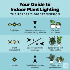 a guide to indoor plant lighting the reader's digitest version by rz plants