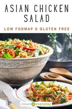 Low Fodmap Shredded Chicken Recipes, Low Fodmap Chinese Recipes, Low Fodmap Asian Sauce, Low Fodmap Chicken Stir Fry, Low Fodmap Chicken Salad Recipe, Low Fodmap Lunch, Ibs Meals, Low Fodmap Chicken Fried Rice, Low Fodmap Salad