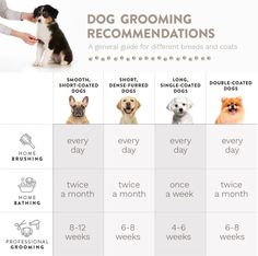 a dog grooming chart with different breeds