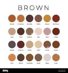 the different shades of brown on white background with text below it - stock images and illustrations