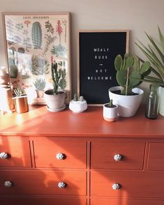 there are many potted plants on the dresser