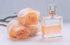 Make Perfume, Rose And Vanilla, Ideal Aesthetic