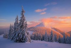 Landscape Wallpapers, Mountain Wall Mural, Christmas Landscape, Winter Szenen, Snowy Trees, Mountain Wallpaper, Winter Sunset, Winter Nature