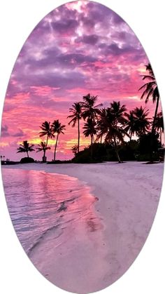 the beach is lined with palm trees as the sun sets over the water and clouds