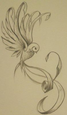 a pencil drawing of a bird with wings and swirls on it's back