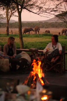 people sitting around a campfire with elephants in the background