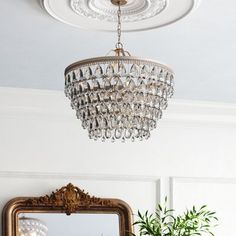 a chandelier hanging from the ceiling above a mirror and potted plant in front of it