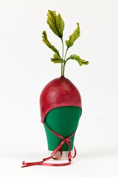 a red radish with green leaves tied to it's head on a white background