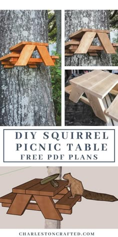 the diy squirrel picnic table is made out of wood and has three different plans