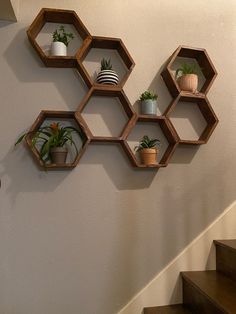 three hexagonal shelves with plants on them are hanging on the wall next to some stairs