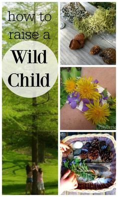 the words how to raise a wild child are above pictures of flowers, leaves and pine cones