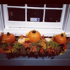 some pumpkins and gourds are sitting on the window sill