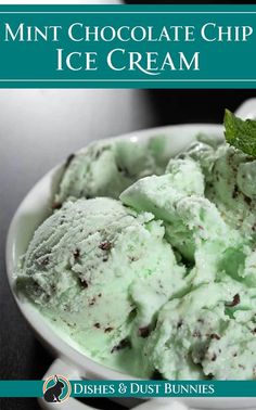 mint chocolate chip ice cream in a white bowl on a black table with the title, mint chocolate chip ice cream