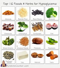 16 foods and herbs for hypoglycemia Hypoglycemic Diet, Low Blood Sugar Diet, Cholesterol Remedies, Cholesterol Lowering Foods, No Sugar Diet, Blood Sugar Diet, Low Blood Sugar, Lower Cholesterol, Blood Sugar Levels