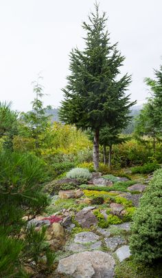 a stone path surrounded by trees and plants