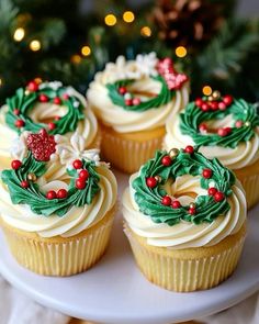 cupcakes decorated with icing and holly wreaths are on a white plate