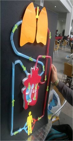 a person holding up a cut out of paper with lungs and arrows on the wall