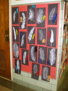 a bulletin board with feathers on it in front of a door that is decorated with magnets