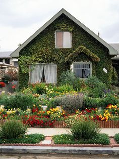 a house covered in vines and flowers with lots of plants growing around the front yard