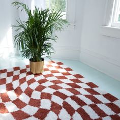 a potted plant sitting on top of a red and white rug next to a window