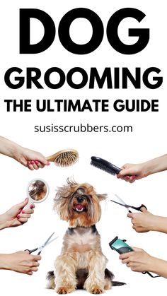 dog grooming the ultimate guide