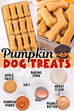 pumpkin dog treats are the perfect treat for dogs to make with their owners and their puppies