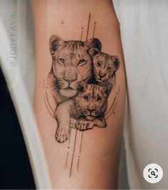 a lion and two cubs tattoo on the right arm, with an arrow in the middle