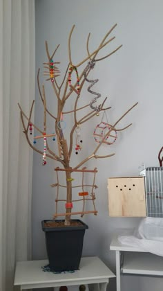 a tree that is sitting in a pot on a table next to a shelf with jewelry