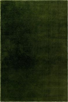 a dark green rug is shown in this image