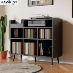 a record player is sitting on top of a bookcase in front of a cactus