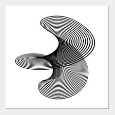 an abstract black and white photo with wavy lines in the shape of a bird's head