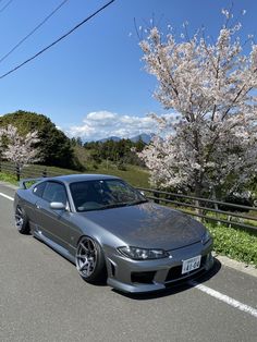 a silver car parked on the side of a road next to a tree with white flowers