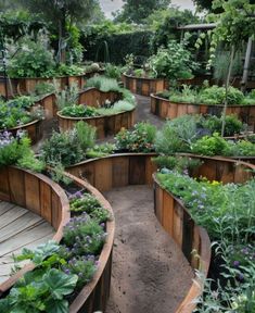 a garden filled with lots of different types of plants and flowers on top of each other