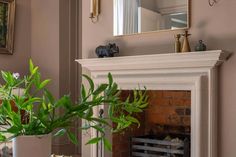 a potted plant sitting on top of a table next to a fireplace