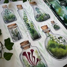 there are many glass bottles with plants in them