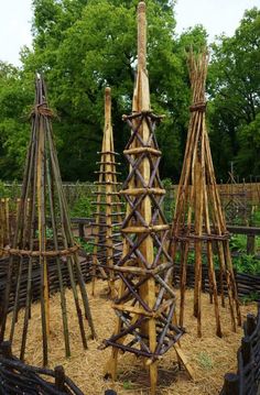 an assortment of wooden structures in a garden