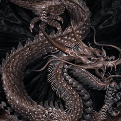 an intricately detailed painting of a dragon