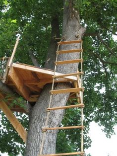 a tree house built into the side of a large tree with ladders attached to it