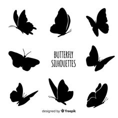 black butterflies silhouettes on white background with the words butterfly silhouettes written below them