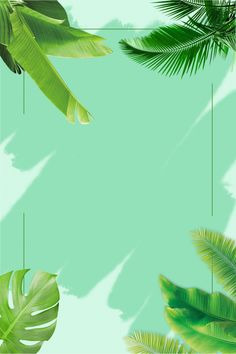 green palm leaves on a blue background with a white rectangle in the center for text