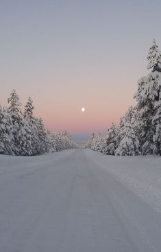 the sun is setting on a snowy road with trees in the foreground and snow covered ground