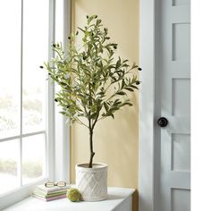 a potted plant sitting on top of a window sill next to a book