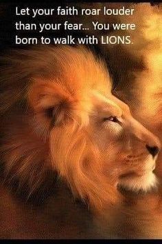 two lions facing each other with the caption let your faith roar louder than your fear you were born to walk with lions