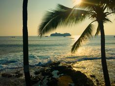 the sun shines brightly through two palm trees near the ocean with a cruise ship in the distance