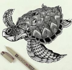 a drawing of a turtle with intricate designs on it's back and neck, in black ink